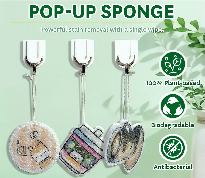 Pop-up Sponge detail 1