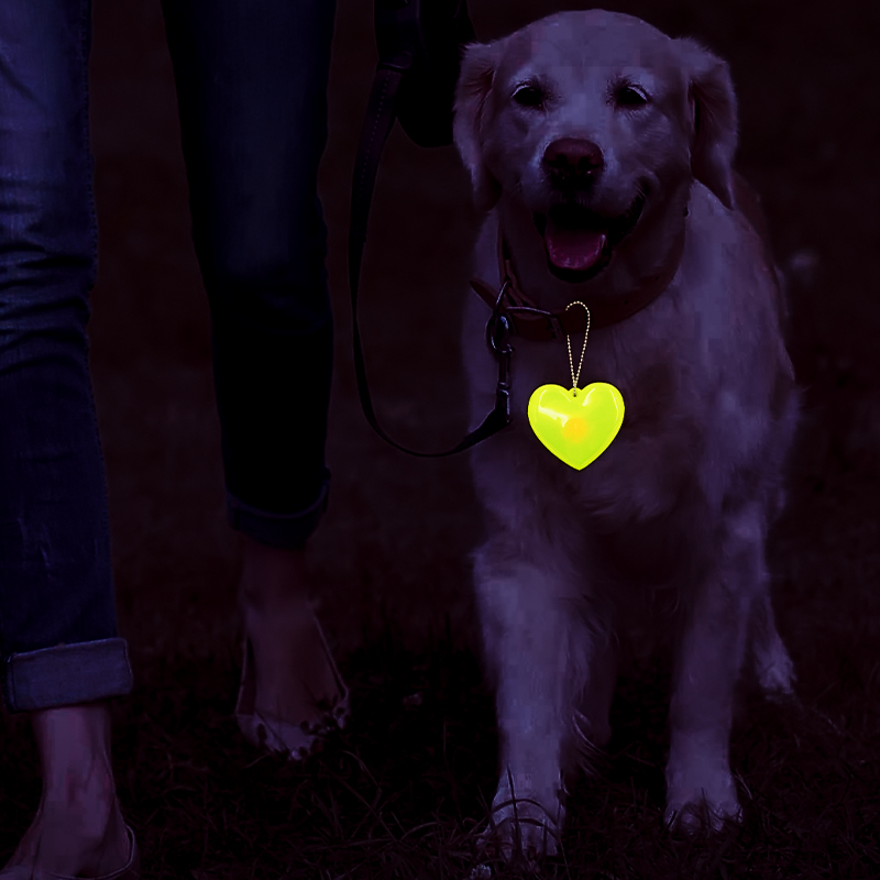 LED Reflective Magnetic Clip / Keychain photo 11