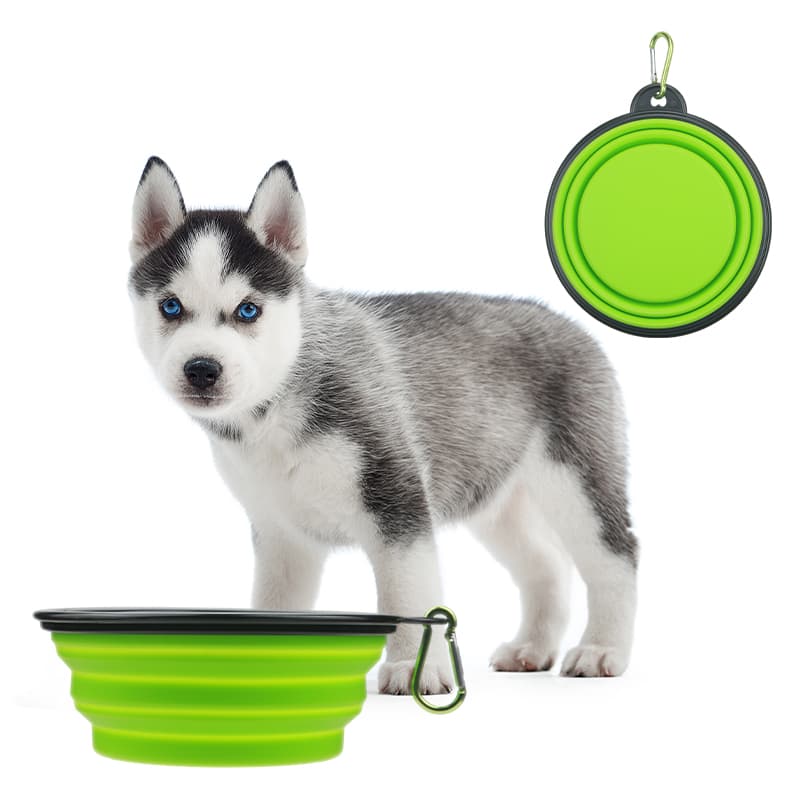 Collapsible Pet Travel bowl