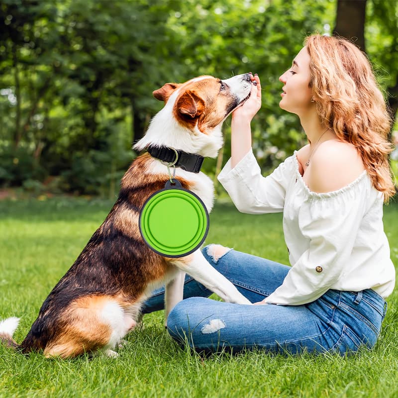 Collapsible Pet Travel bowl photo 5