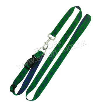 Pet Leash & Collar
