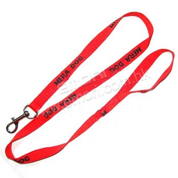 Pet Leash & Collar