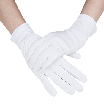 Microfiber Glove