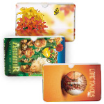 Card Holder
