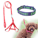 Pet Leash & Collar